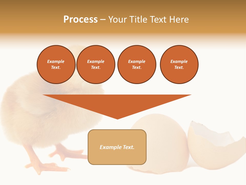 The Chick And The Egg PowerPoint Template