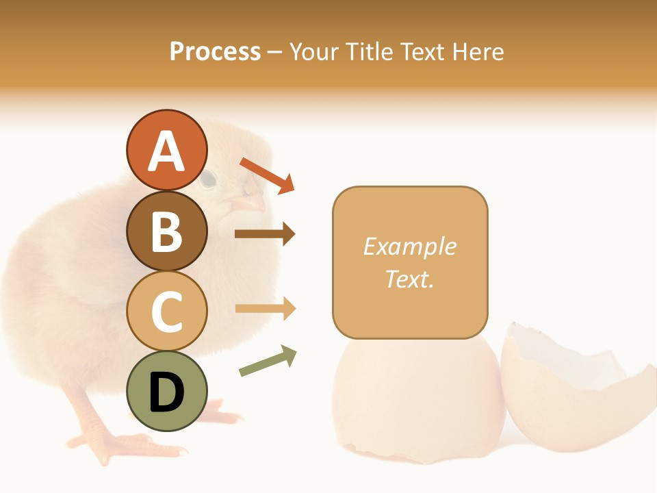 The Chick And The Egg PowerPoint Template