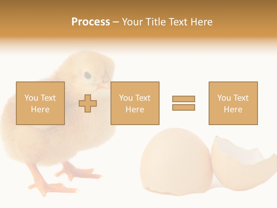The Chick And The Egg PowerPoint Template