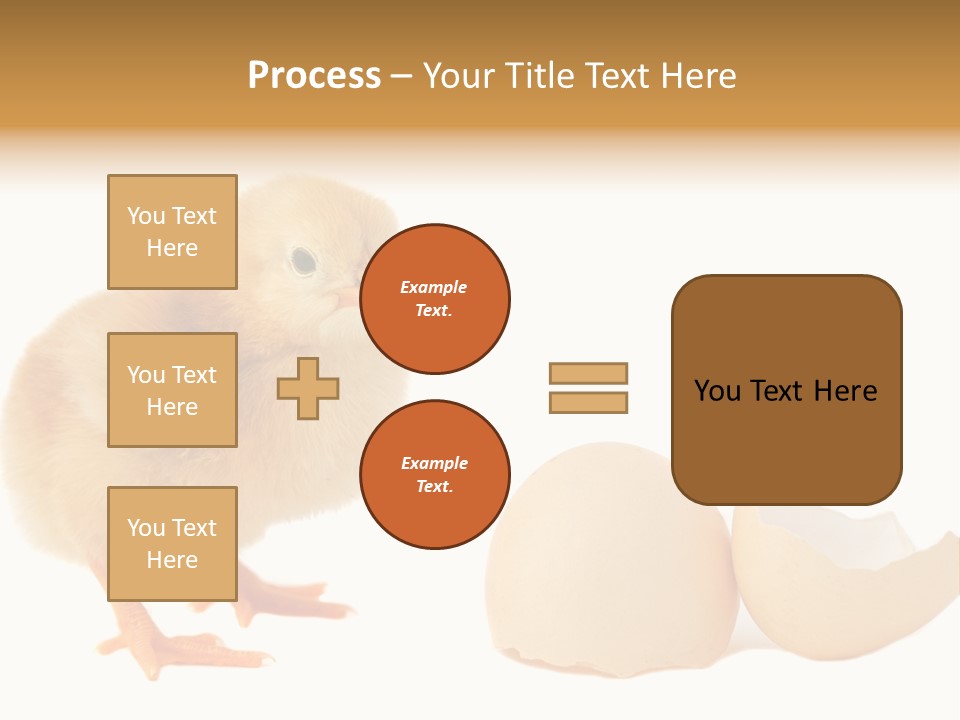 The Chick And The Egg PowerPoint Template