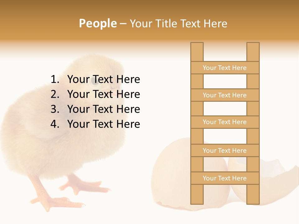 The Chick And The Egg PowerPoint Template