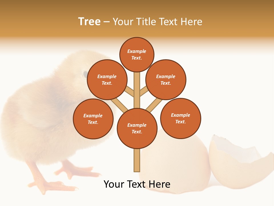 The Chick And The Egg PowerPoint Template