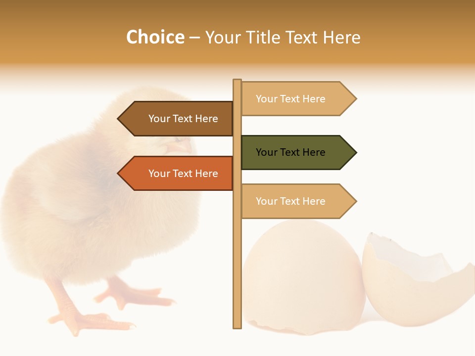 The Chick And The Egg PowerPoint Template