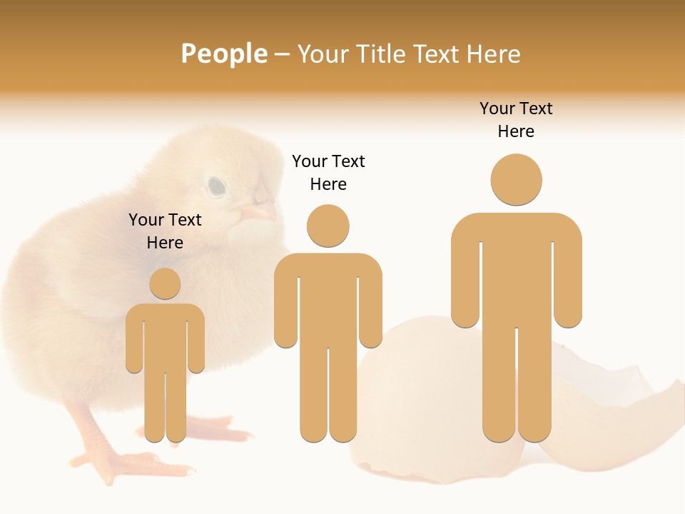 The Chick And The Egg PowerPoint Template