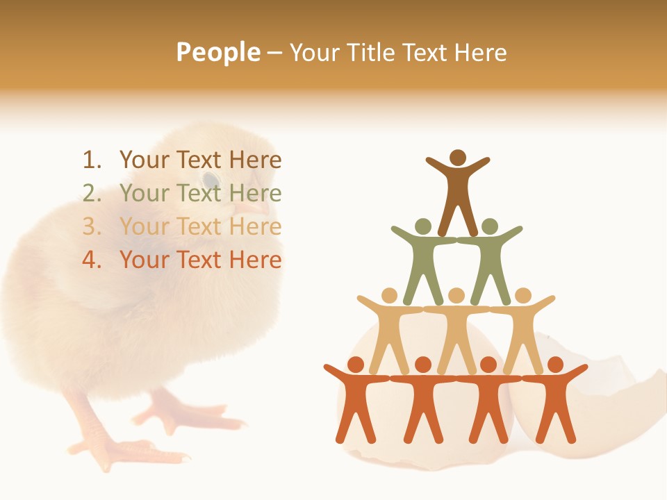 The Chick And The Egg PowerPoint Template