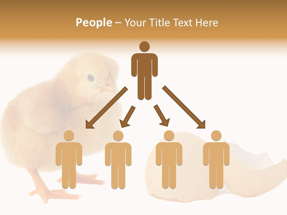 The Chick And The Egg PowerPoint Template