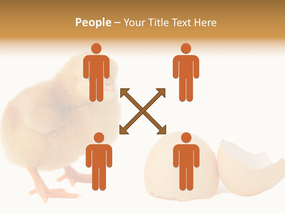 The Chick And The Egg PowerPoint Template