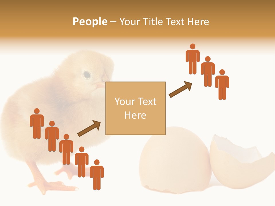 The Chick And The Egg PowerPoint Template