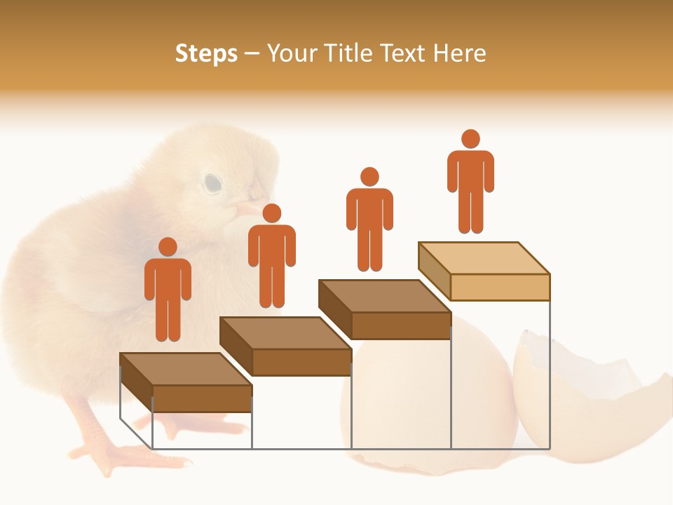 The Chick And The Egg PowerPoint Template