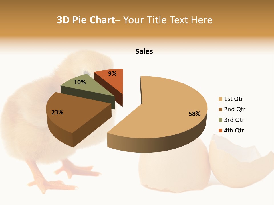 The Chick And The Egg PowerPoint Template