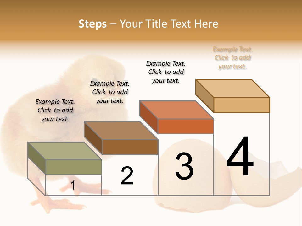 The Chick And The Egg PowerPoint Template