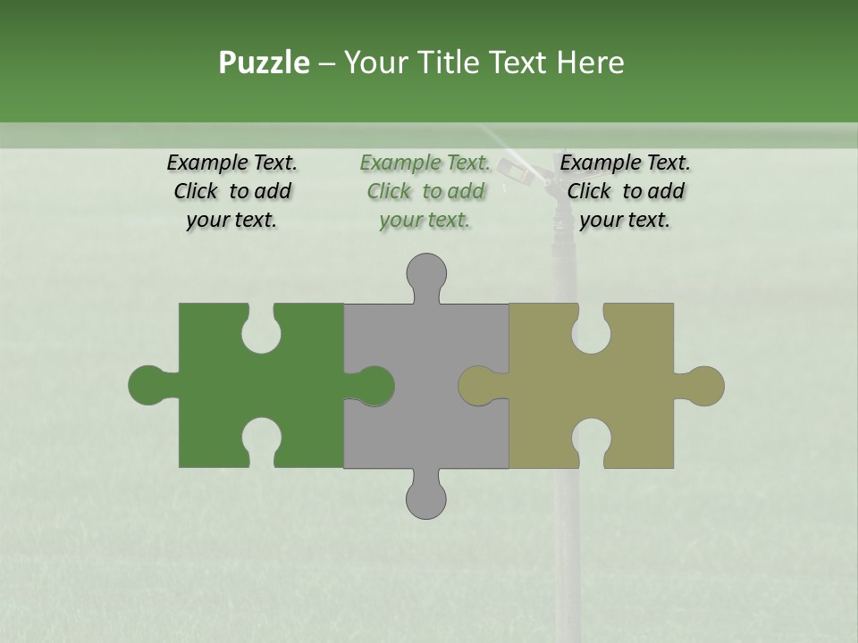 Bottles With Alcohol PowerPoint Template