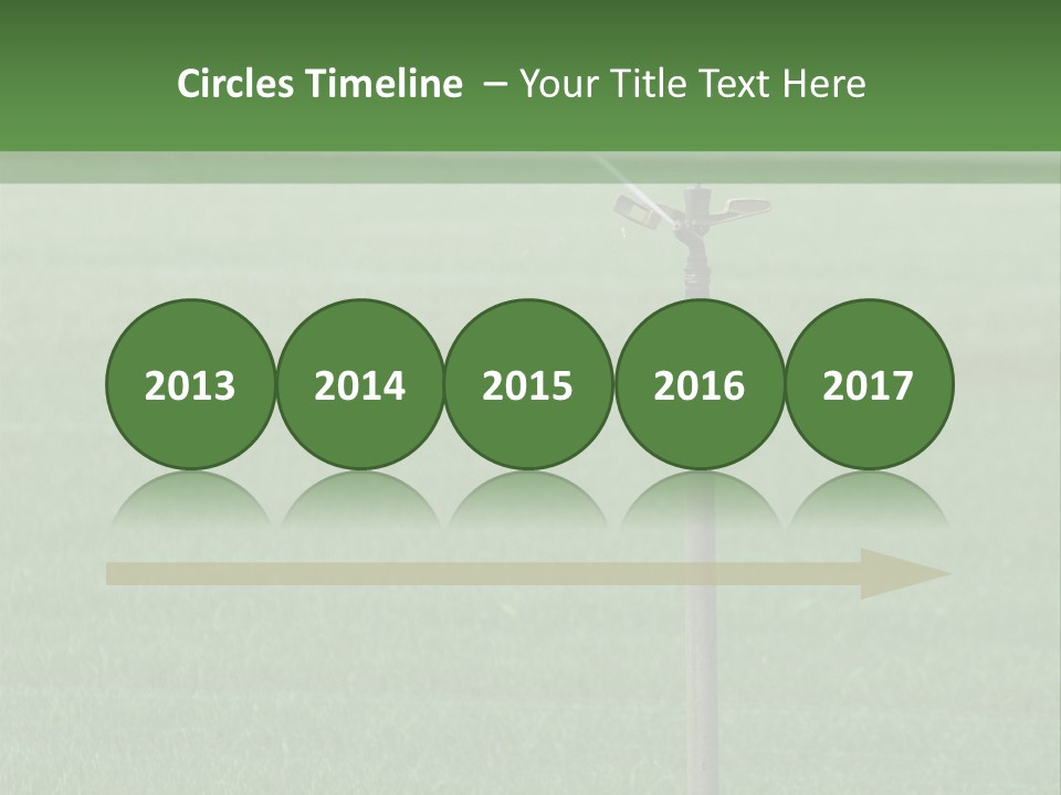 Bottles With Alcohol PowerPoint Template