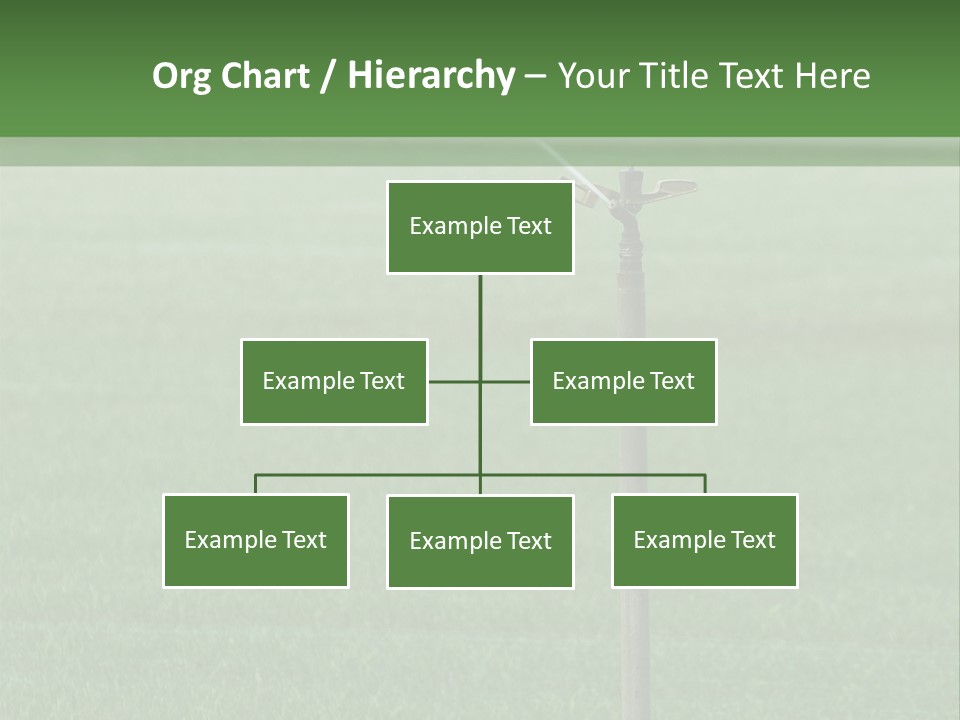 Bottles With Alcohol PowerPoint Template
