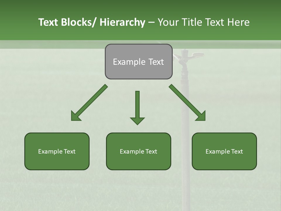 Bottles With Alcohol PowerPoint Template