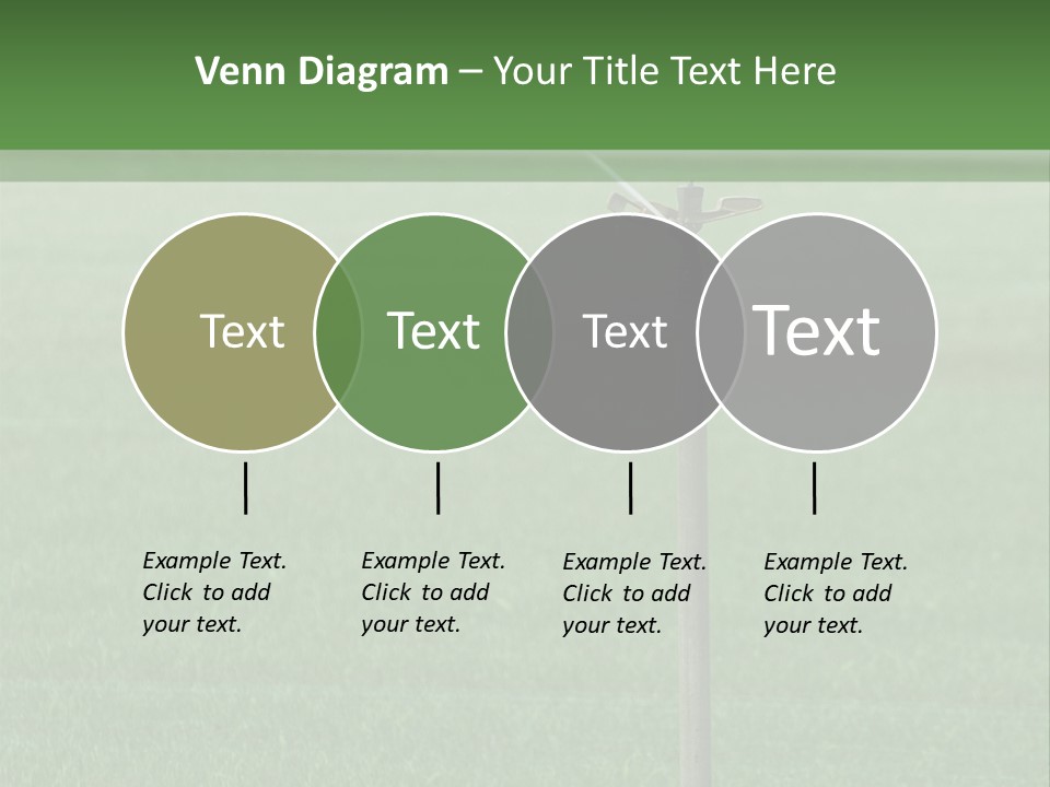 Bottles With Alcohol PowerPoint Template