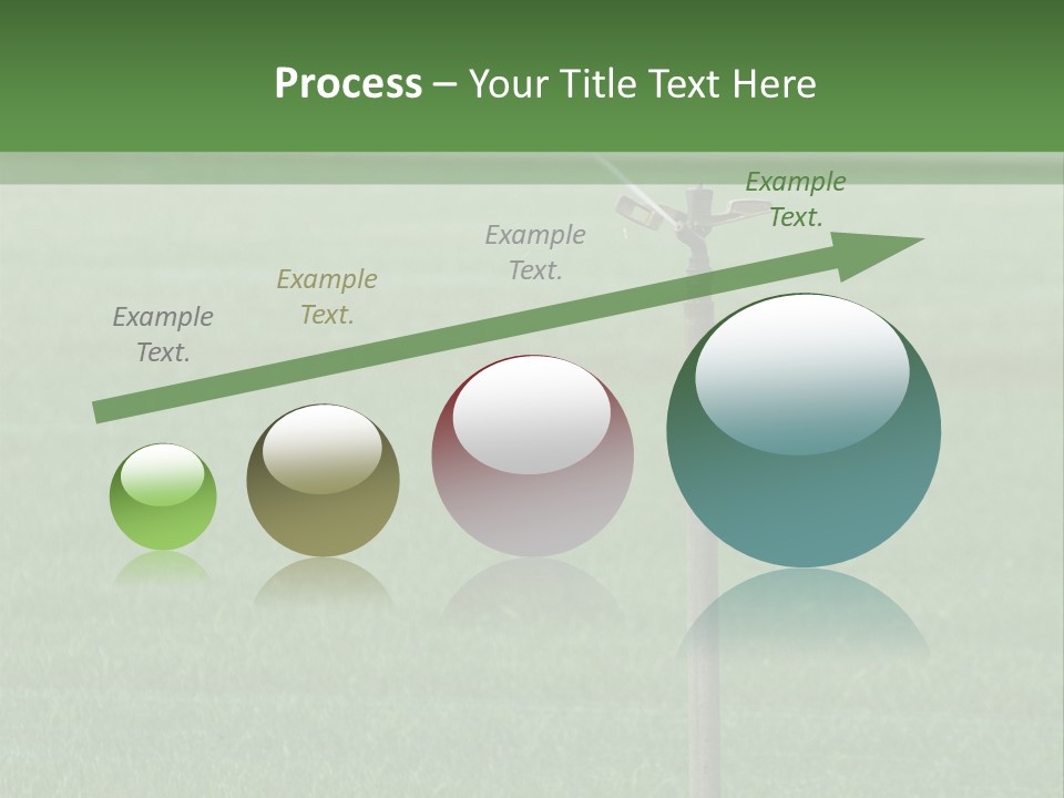 Bottles With Alcohol PowerPoint Template