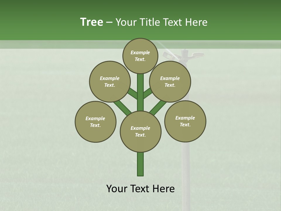 Bottles With Alcohol PowerPoint Template