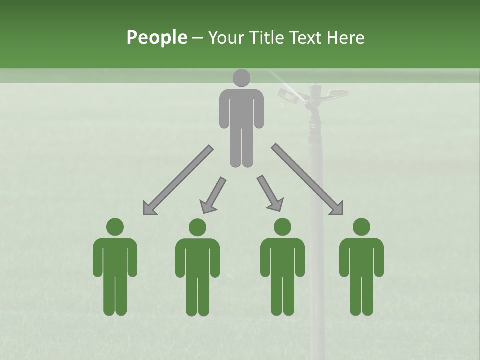 Bottles With Alcohol PowerPoint Template