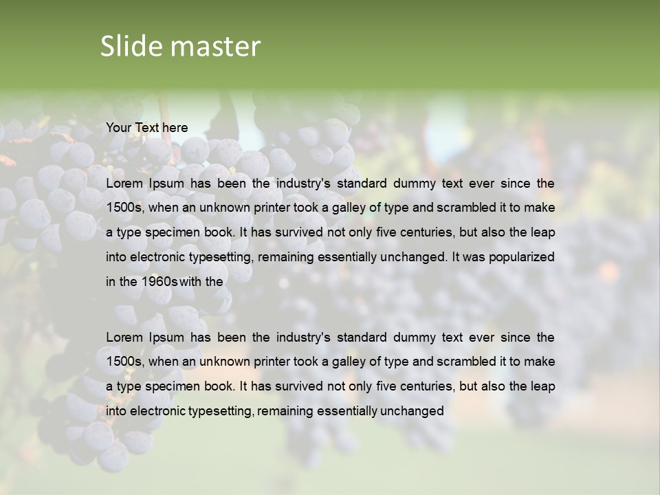 Merlot Grapes On Vine In Vineyard PowerPoint Template