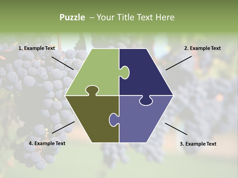 Merlot Grapes On Vine In Vineyard PowerPoint Template