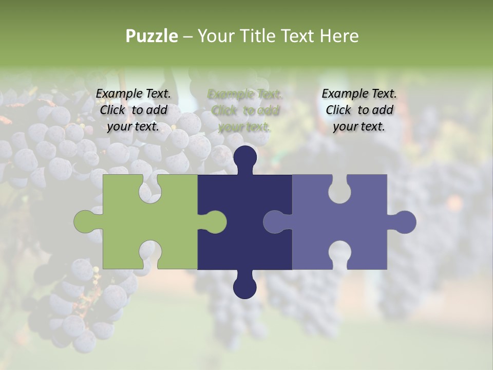 Merlot Grapes On Vine In Vineyard PowerPoint Template