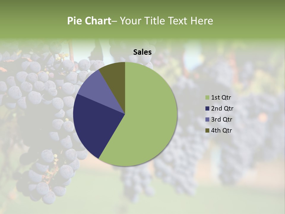 Merlot Grapes On Vine In Vineyard PowerPoint Template