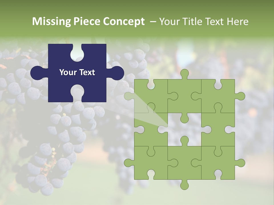 Merlot Grapes On Vine In Vineyard PowerPoint Template