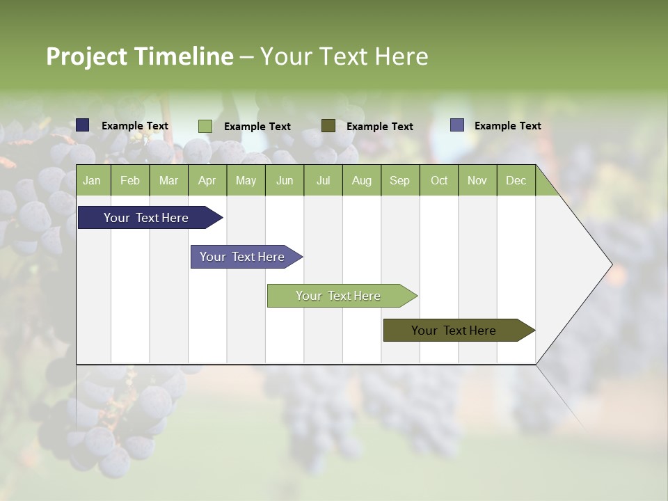 Merlot Grapes On Vine In Vineyard PowerPoint Template