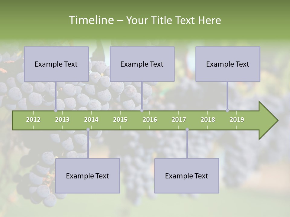 Merlot Grapes On Vine In Vineyard PowerPoint Template