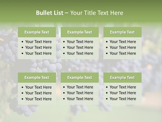 Merlot Grapes On Vine In Vineyard PowerPoint Template