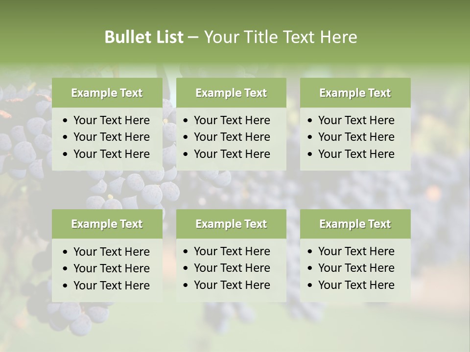 Merlot Grapes On Vine In Vineyard PowerPoint Template