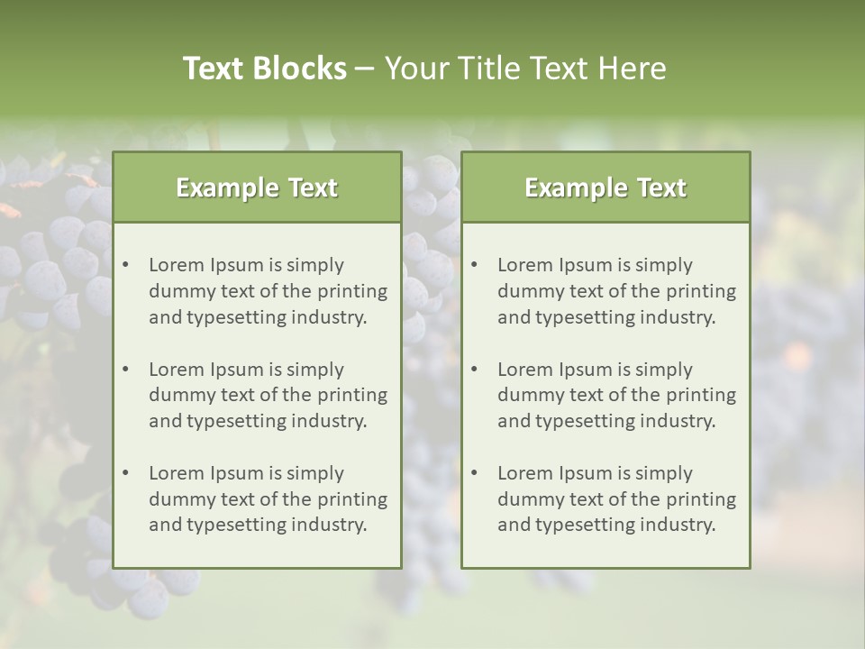 Merlot Grapes On Vine In Vineyard PowerPoint Template