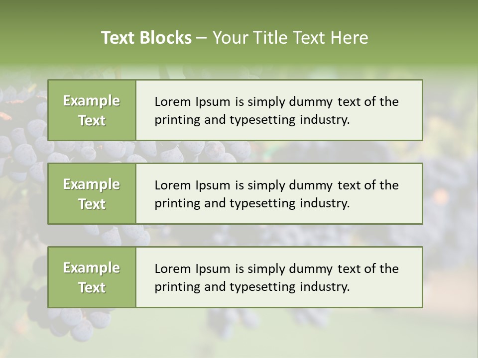 Merlot Grapes On Vine In Vineyard PowerPoint Template