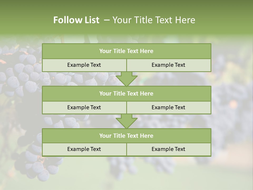 Merlot Grapes On Vine In Vineyard PowerPoint Template