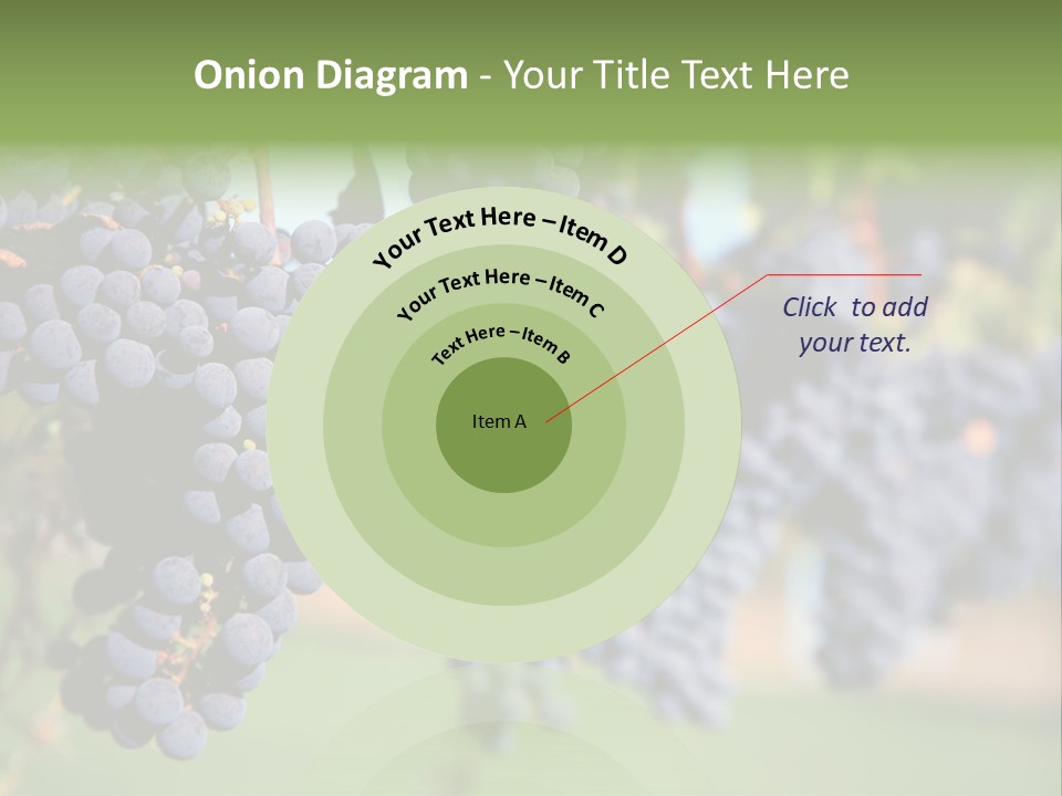 Merlot Grapes On Vine In Vineyard PowerPoint Template