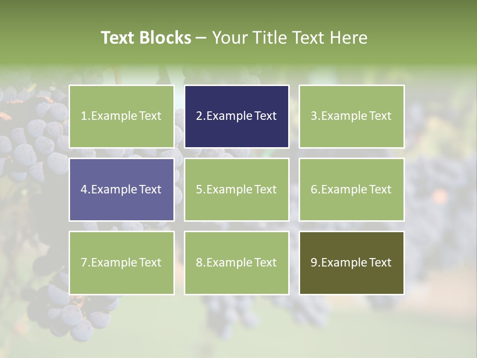 Merlot Grapes On Vine In Vineyard PowerPoint Template