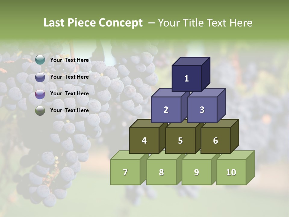 Merlot Grapes On Vine In Vineyard PowerPoint Template