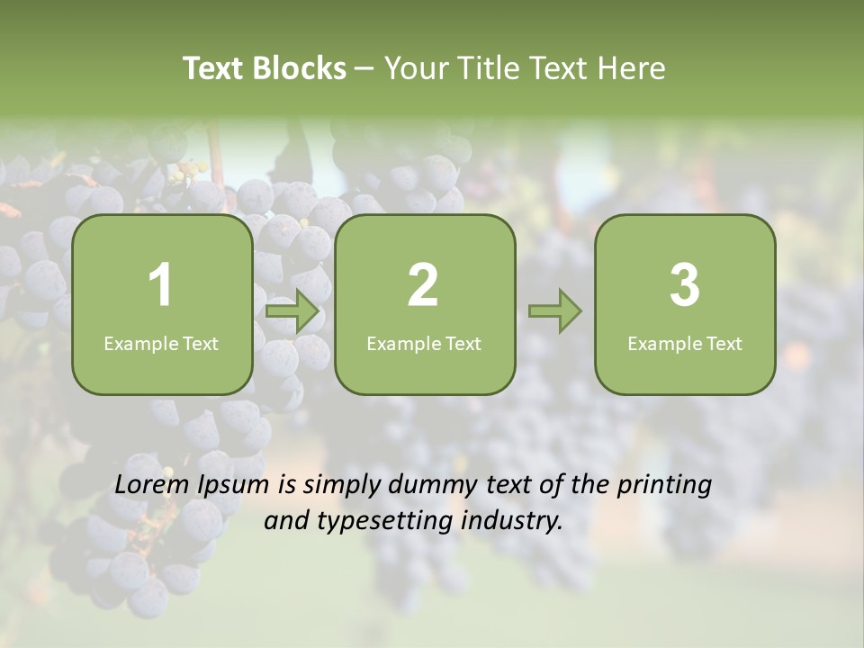 Merlot Grapes On Vine In Vineyard PowerPoint Template