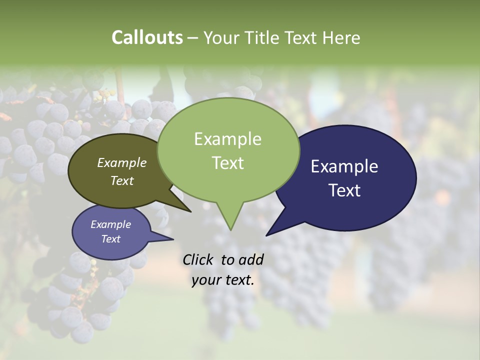 Merlot Grapes On Vine In Vineyard PowerPoint Template