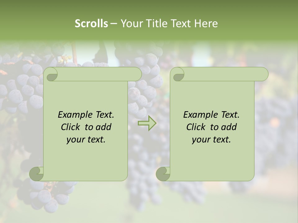 Merlot Grapes On Vine In Vineyard PowerPoint Template