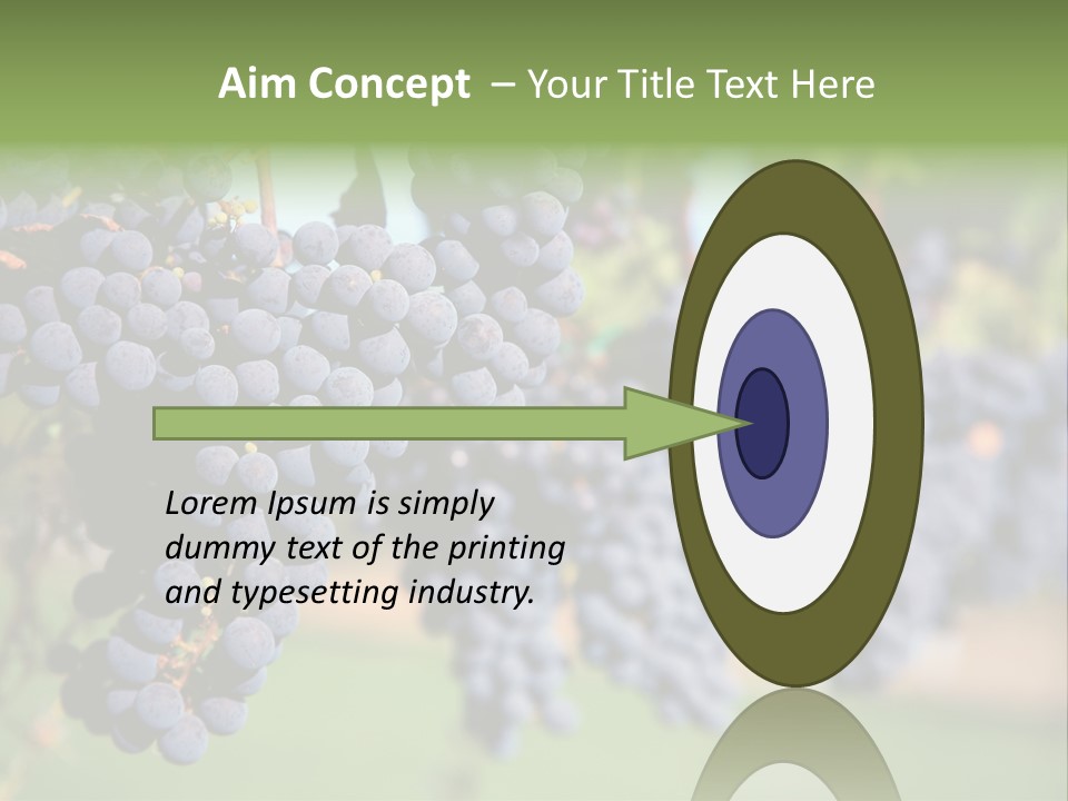 Merlot Grapes On Vine In Vineyard PowerPoint Template