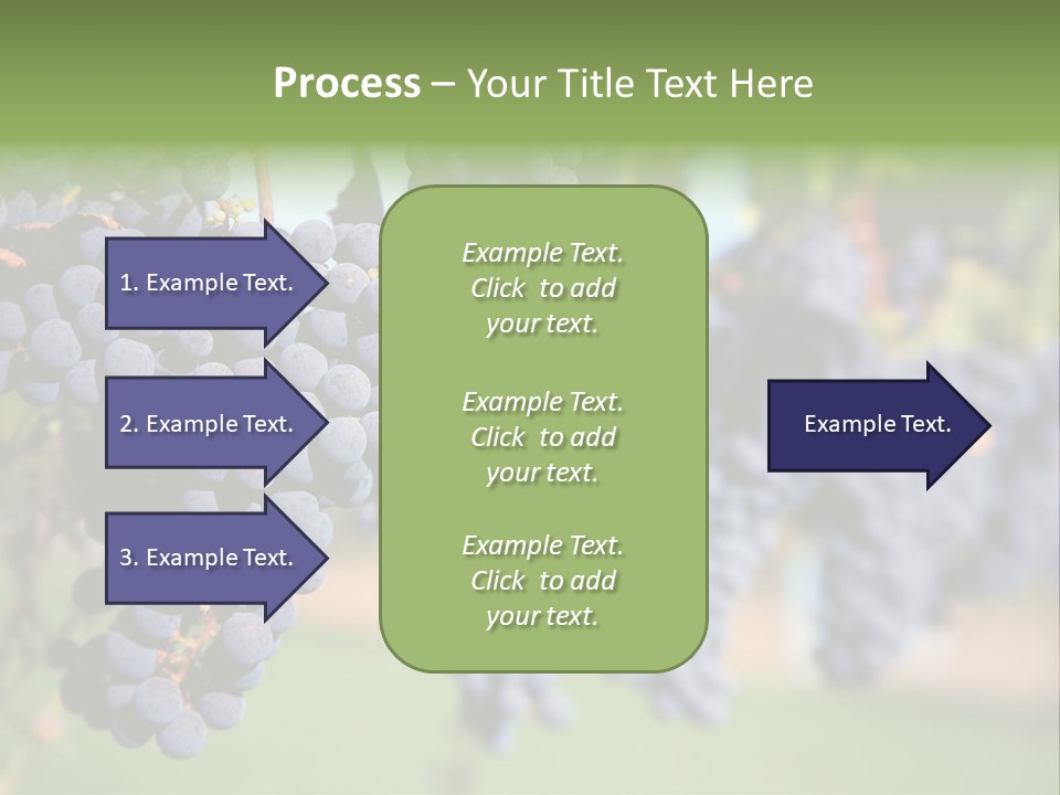 Merlot Grapes On Vine In Vineyard PowerPoint Template