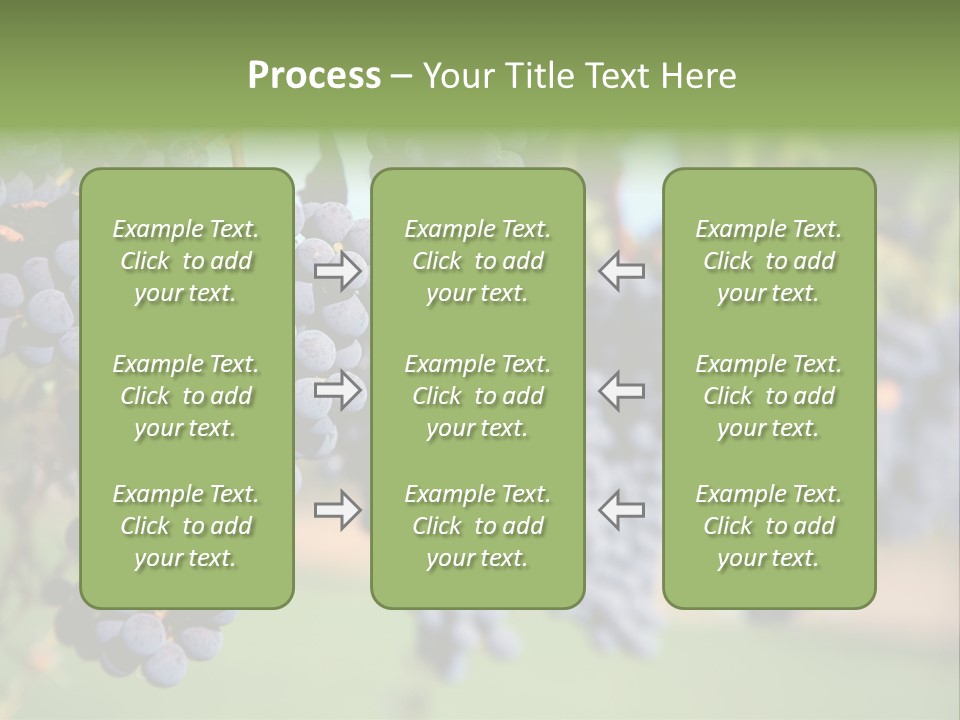 Merlot Grapes On Vine In Vineyard PowerPoint Template