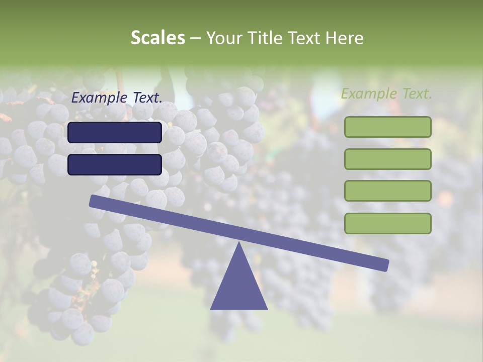 Merlot Grapes On Vine In Vineyard PowerPoint Template