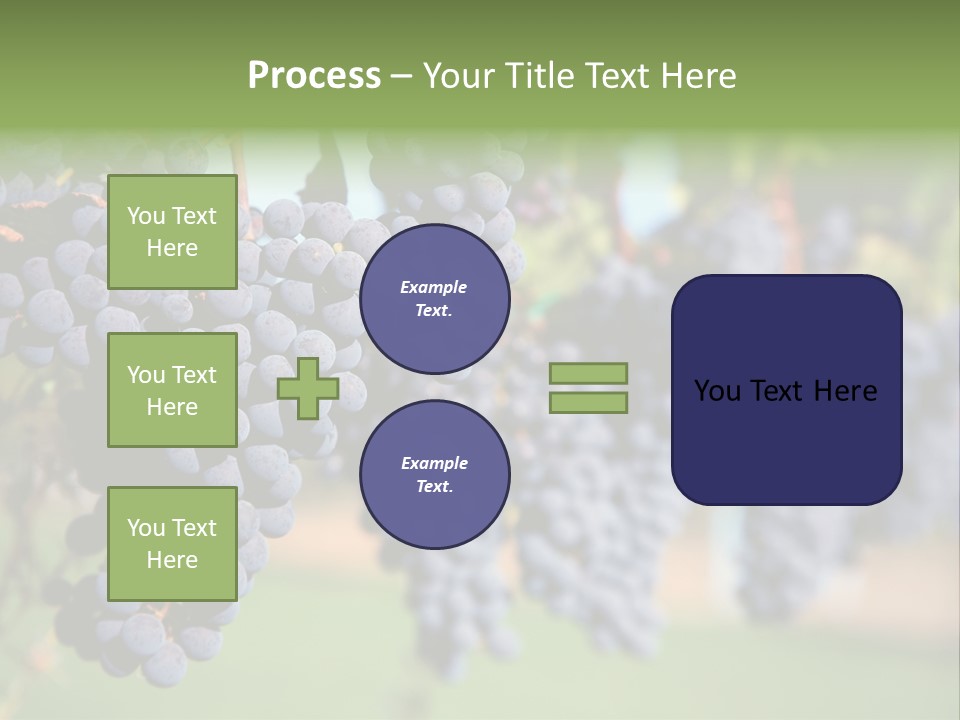 Merlot Grapes On Vine In Vineyard PowerPoint Template