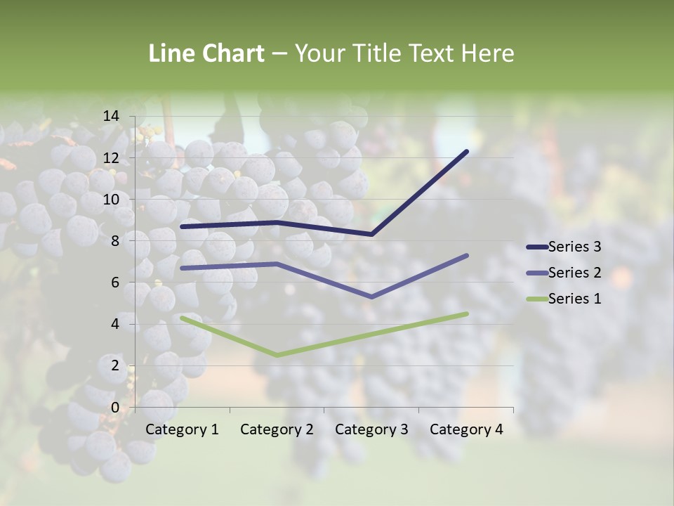 Merlot Grapes On Vine In Vineyard PowerPoint Template