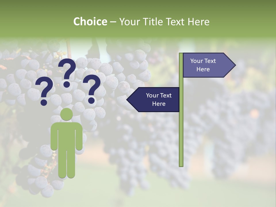 Merlot Grapes On Vine In Vineyard PowerPoint Template