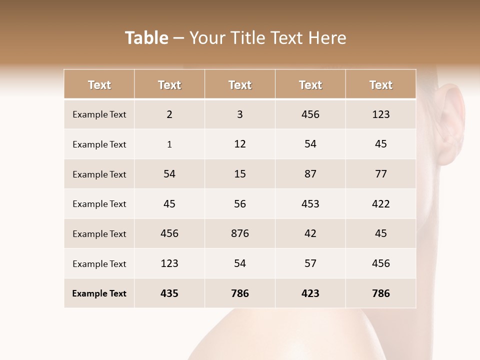 Landscape Image During Sunset And The Birds Flying PowerPoint Template