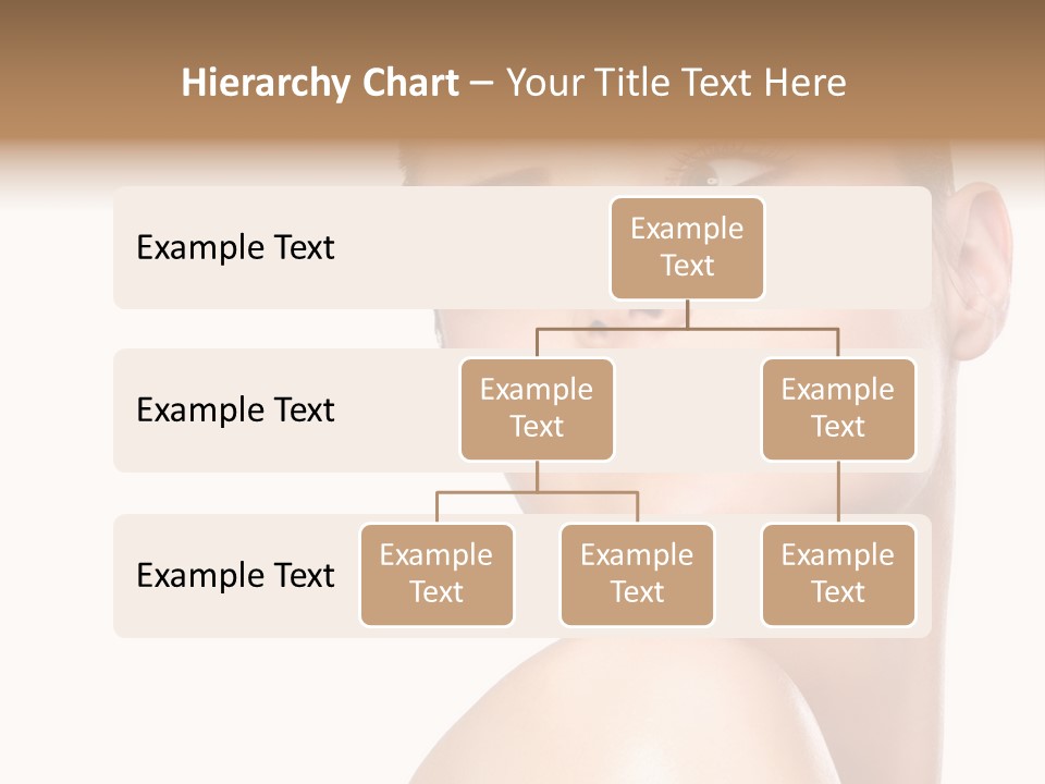 Landscape Image During Sunset And The Birds Flying PowerPoint Template